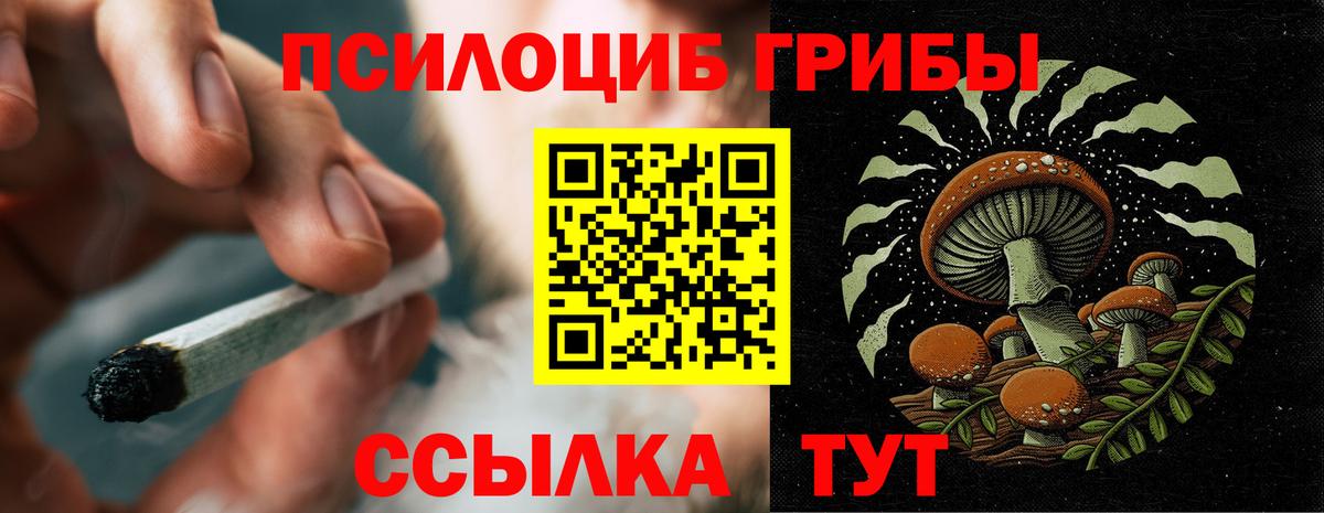 Чернушка  Псилоцибиновые грибы Psilocybine cubensis  Галлюциногенные грибы мухоморы  Вход с VPN 